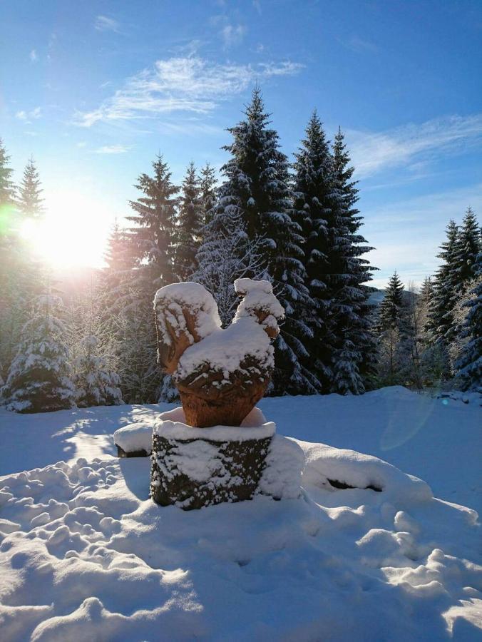 Hotel Horska Bouda U Kokrhace Dolna Mała Upa Zewnętrze zdjęcie